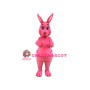 Lovely Pink Kangaroo Mascot Costume