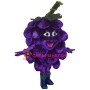 Superb Grape Mascot Costume