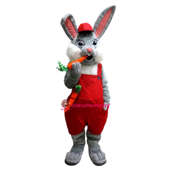 Lovely Grey & White Rabbit Mascot Costume