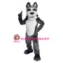 University Wolf Mascot Costume