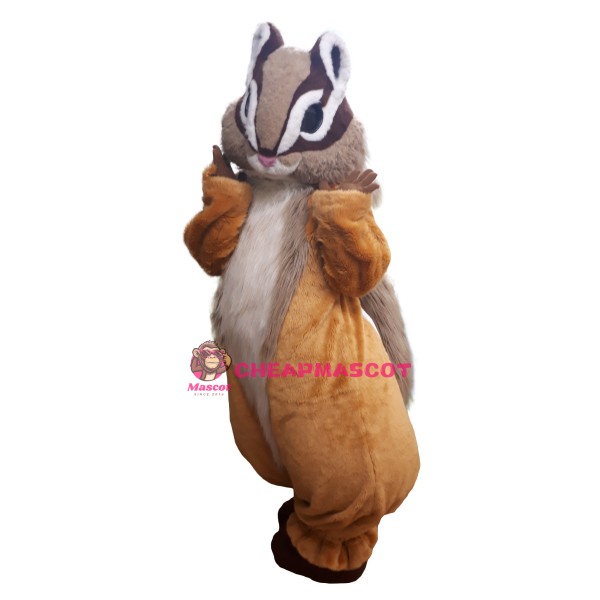 Superb Lovely Squirrel Mascot Costume
