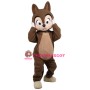 Superb Friendly Lightweight Squirrel Mascot Costume