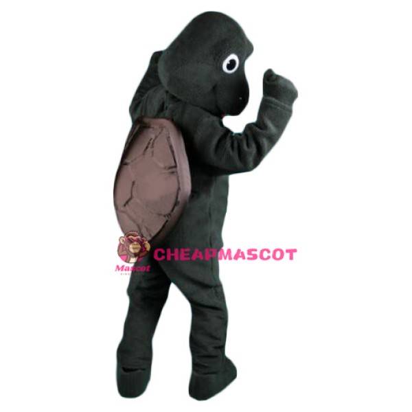 Friendly Turtle Mascot Costume