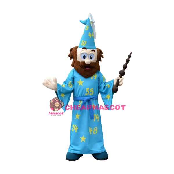 Superb Wizard Mascot Costume