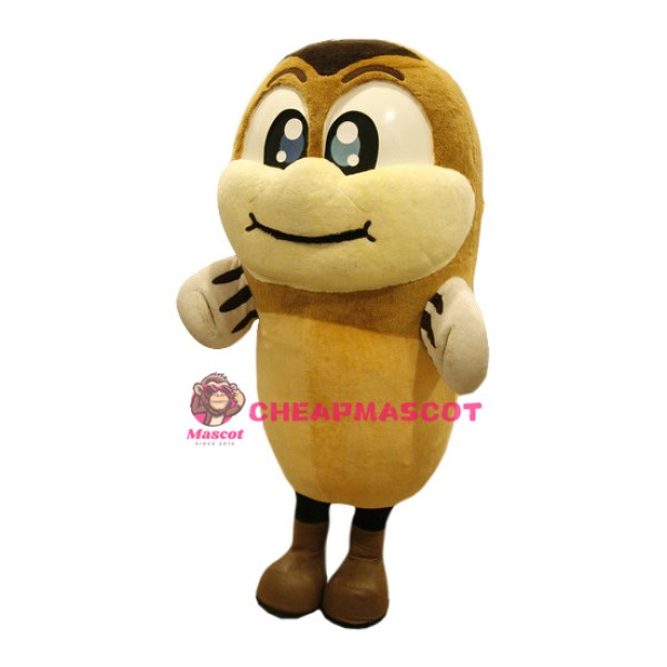 Superb Brown Fish Mascot Costume
