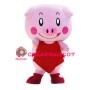 Little Lovely Pig Mascot Costume