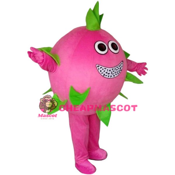 Pitaya Mascot Costume
