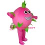 Pitaya Mascot Costume