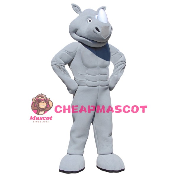 Superb Power Rhino Mascot Costume