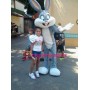 Friendly Bugs Bunny Mascot Costume