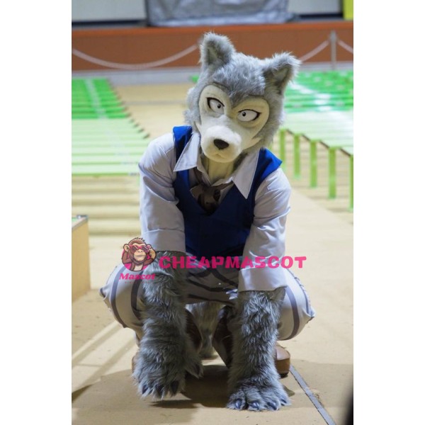 Sport Realistic Wolf Mascot Costume