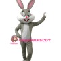 Affordable Bugs Bunny Mascot Costume