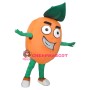 Superb Orange Mascot Costume