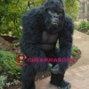 Friendly Lightweight Gorilla Mascot Costume