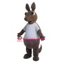 Superb Lightweight Armadillo Mascot Costume