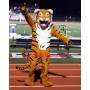 Super Sport Tiger Mascot Costume