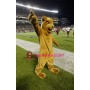 Super Sport Panther Mascot Costume