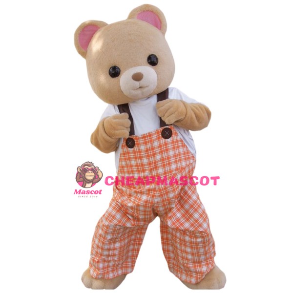 Lovely Bear Boy Mascot Costume