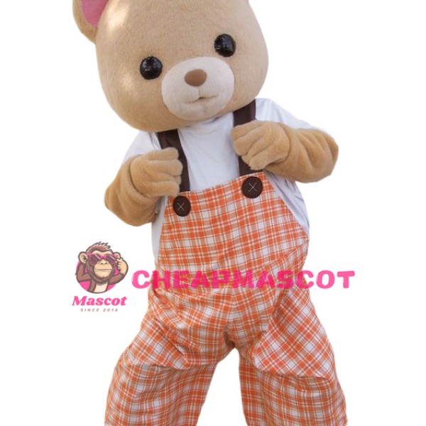 Lovely Bear Boy Mascot Costume