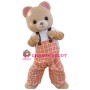 Lovely Bear Boy Mascot Costume