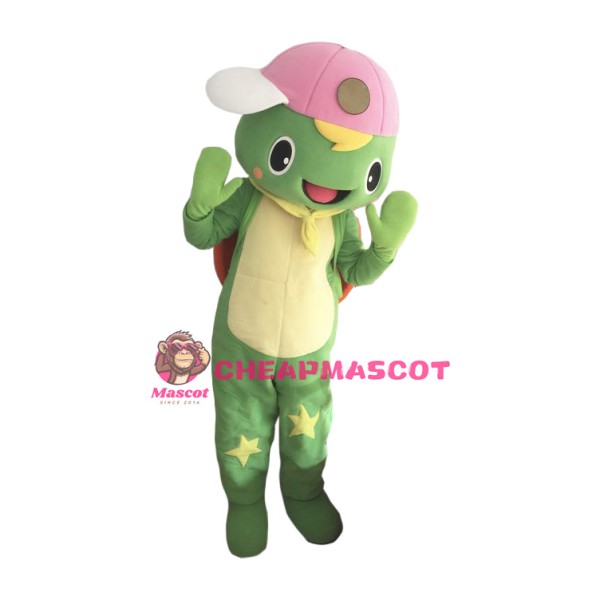 Lovely Turtle Boy Mascot Costume