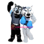 Superb Black Wolf & Grey Wolf Mascot Costume