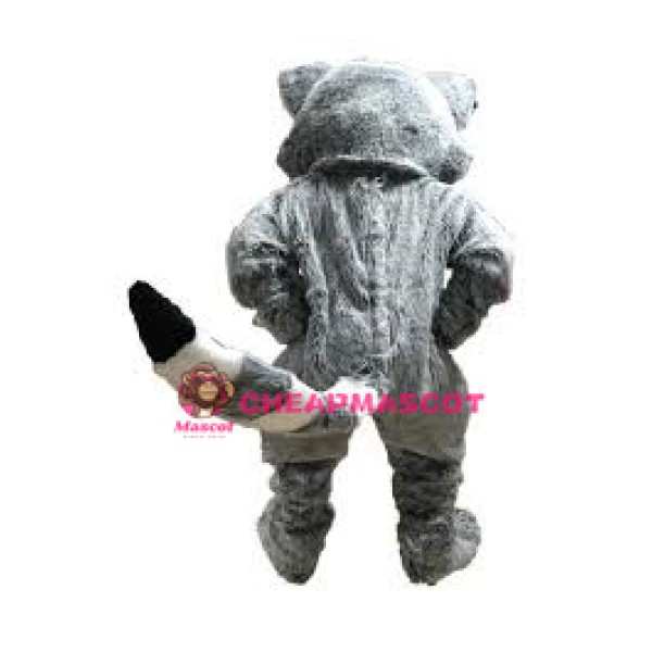 Friendly Lightweight Raccoon Mascot Costume