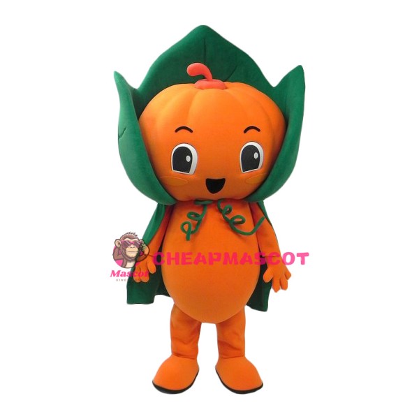 Friendly Pumpkin Boy Mascot Costume