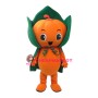 Friendly Pumpkin Boy Mascot Costume