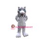 Affordable White Tiger Mascot Costume