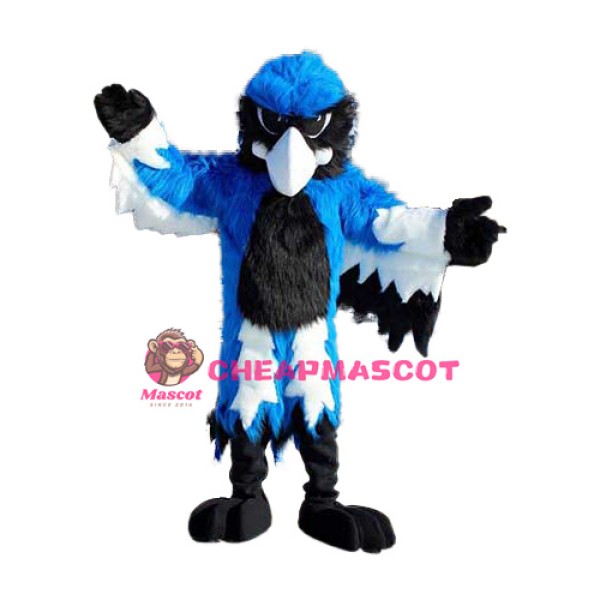 Power Sport Blue Jay Mascot Costume