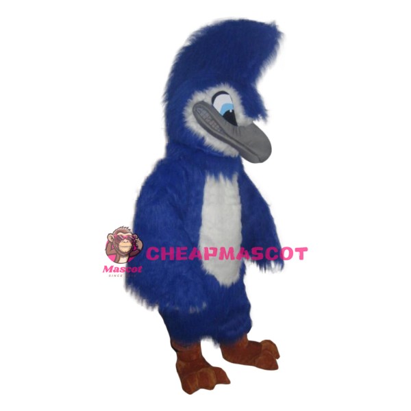 Realistic Blue Jay Mascot Costume