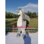 Lovely Realistic Dolphin Mascot Costume