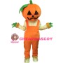 Halloween Pumpkin Mascot Costume for Adult