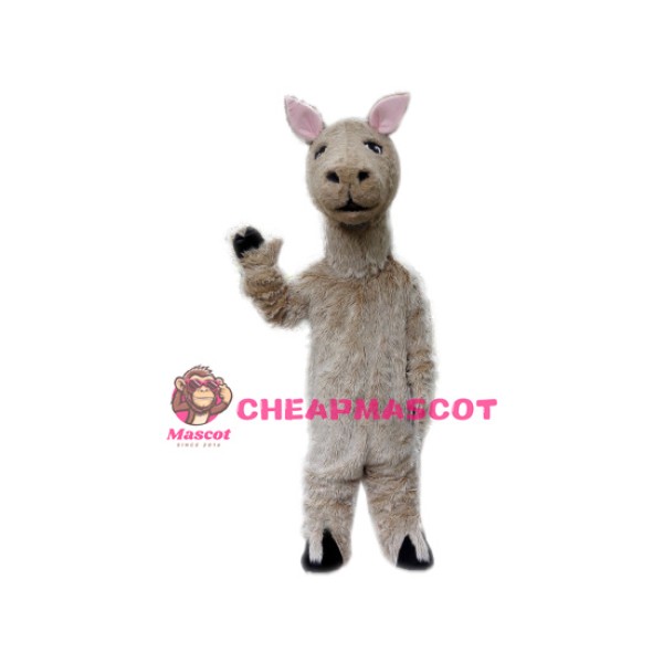 Cute llama Mascot Costume