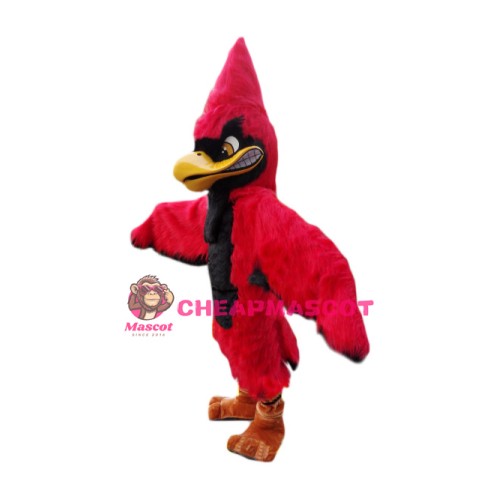 Superb Red Jay Mascot Costume