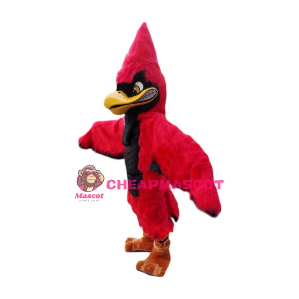 Superb Red Jay Mascot Costume