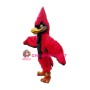 Superb Red Jay Mascot Costume
