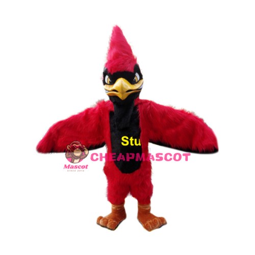 Superb Red Jay Mascot Costume