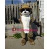 Lovely Lightweight Raccoon Mascot Costume