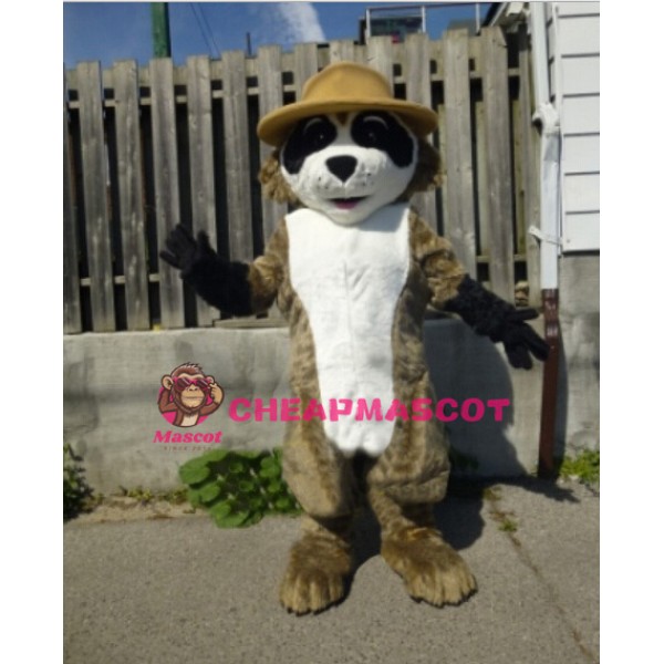 Lovely Lightweight Raccoon Mascot Costume
