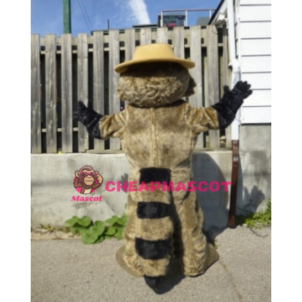 Lovely Lightweight Raccoon Mascot Costume