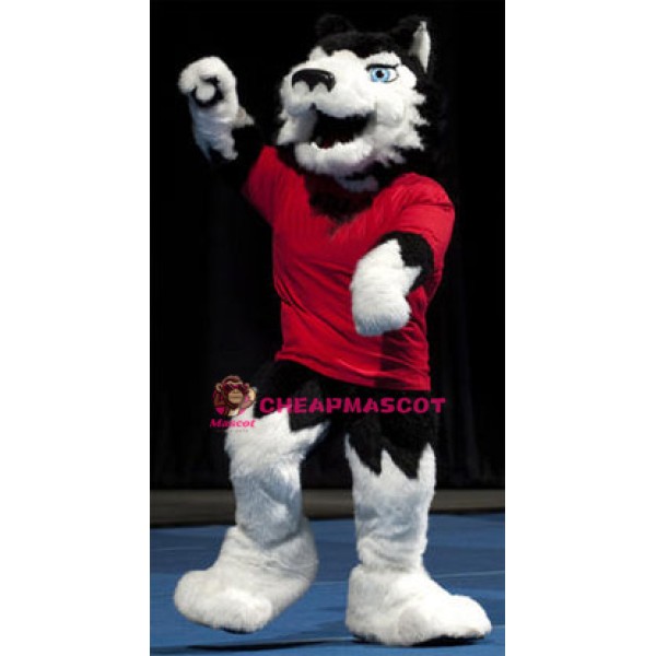 Superb College Wolf Mascot Costume