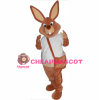 Superb Brown Rabbit Mascot Costume