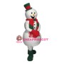 Affordable Christmas Snowman Mascot Costume