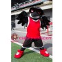 Sport College Raven Mascot Costume