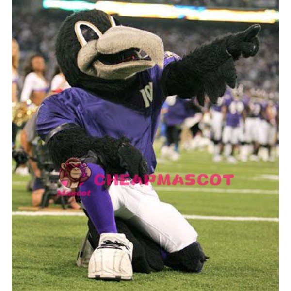 Sport Lightweight Raven Mascot Costume