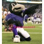 Sport Lightweight Raven Mascot Costume