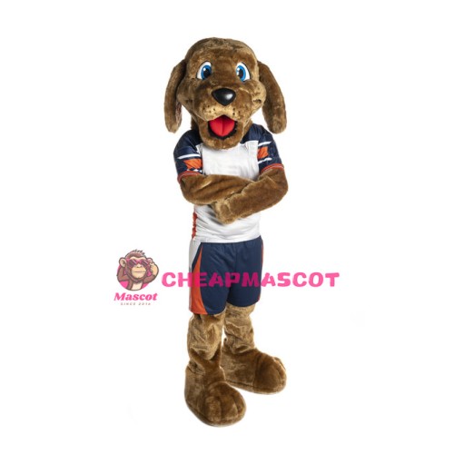 Sport College Dog Mascot Costume