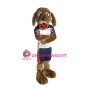 Sport College Dog Mascot Costume
